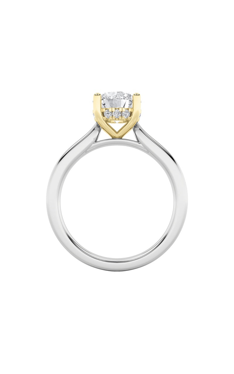 3Cttw Round Shaped Lab Grown Diamond (F/VS) HiddenHalo Cathedral Shank Engagement Ring in 14K Gold