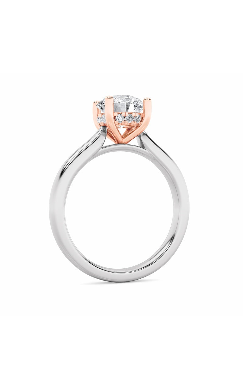 3Cttw Round Shaped Lab Grown Diamond (F/VS) HiddenHalo Cathedral Shank Engagement Ring in 14K Gold