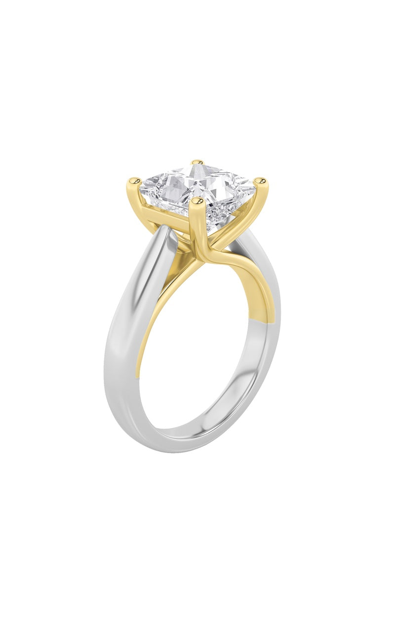 1Cttw Princess Shaped Lab Grown Diamond (F/VS) TwoTone Cathedral Shank Engagement Ring in 14K Gold
