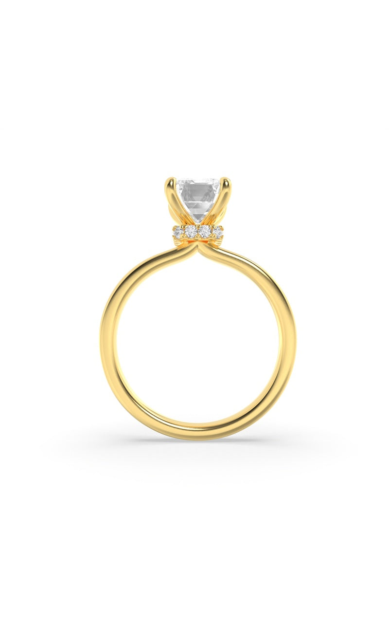 3CTW Emerald Shaped Lab Grown Diamond (F/VS) Hidden Halo Plain Shank Engagement Ring in 14K Gold