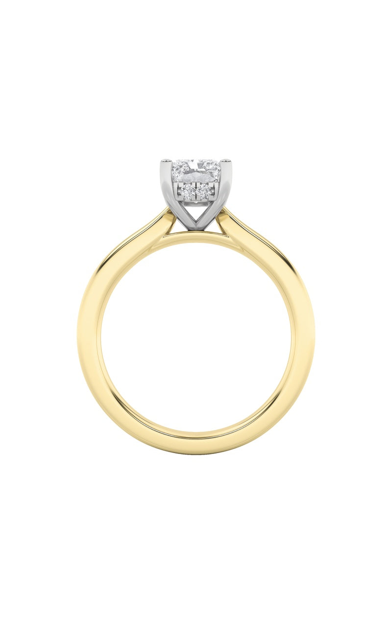 3CTW Radiant Shaped Lab Grown Diamond (F/VVS) Hidden Halo Cathedral Shank Engagement Ring in 14K Gold